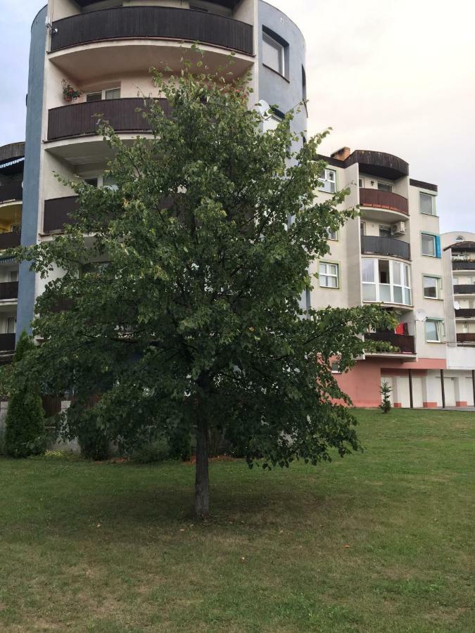 Apartment Tekelova 95M2 プレショフ エクステリア 写真